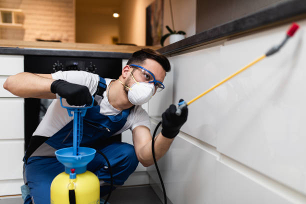 Best Cockroach Control Services  in Spring Valley, NV