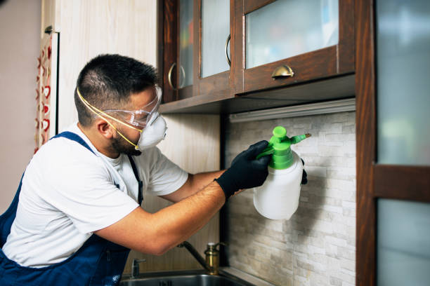Best Affordable Pest Control Services  in Spring Valley, NV