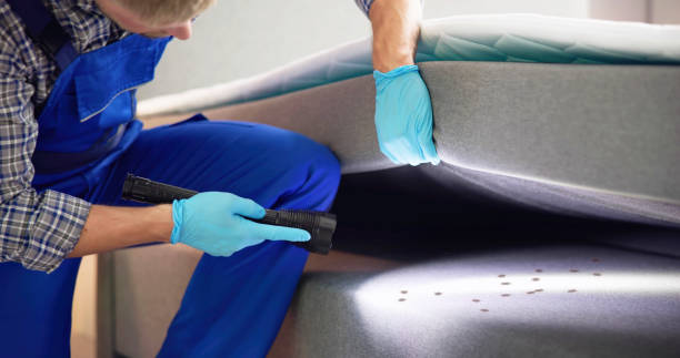 Best Pest Control Near Me in Spring Valley, NV