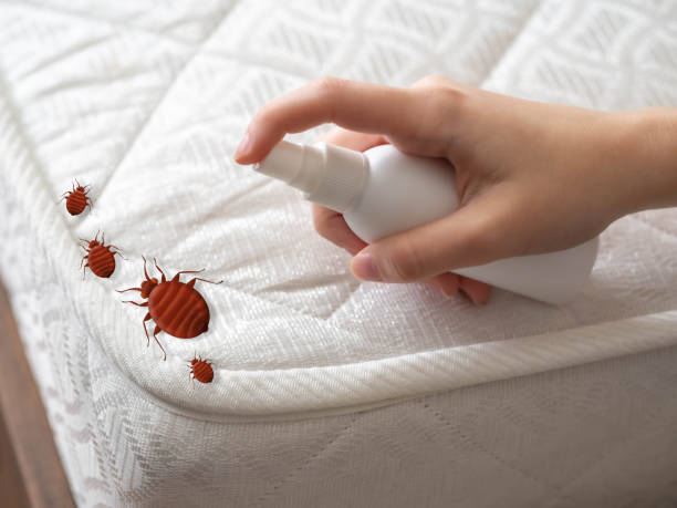 Best Pest Prevention Services  in Spring Valley, NV