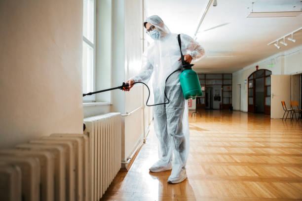 Best Termite Control Services  in Spring Valley, NV
