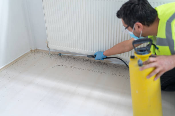 Best Ant Control Services  in Spring Valley, NV