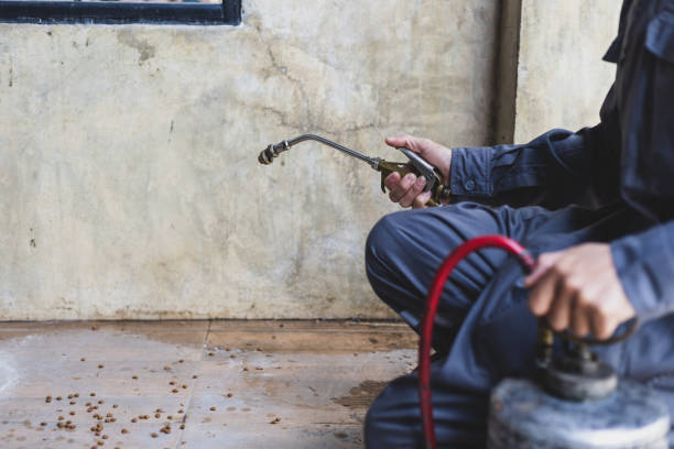 Best Mosquito Control Services  in Spring Valley, NV