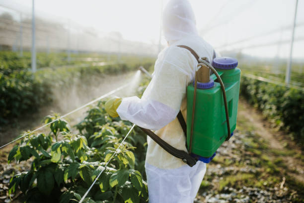Pest Control for Restaurants in Spring Valley, NV